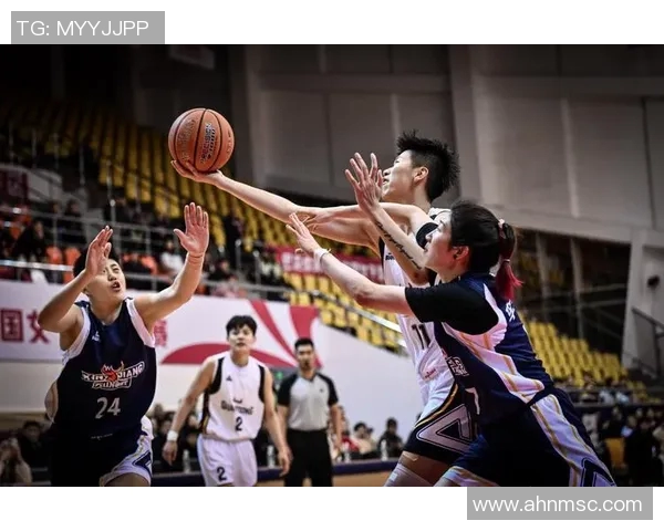 2013年CBA精彩对决回顾广东队与北京队巅峰对抗录像分析 2013年CBA精彩对决回顾广东队与北京队巅峰对抗录像分析