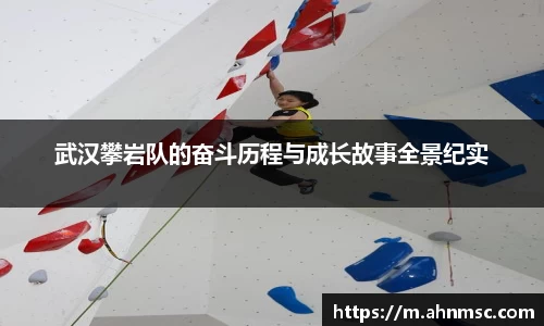 武汉攀岩队的奋斗历程与成长故事全景纪实