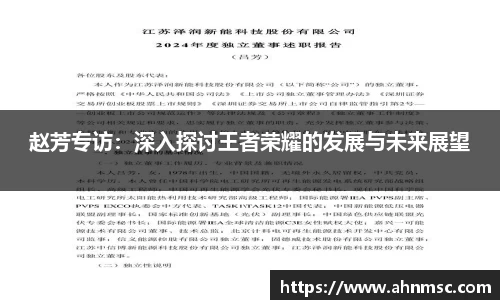 赵芳专访：深入探讨王者荣耀的发展与未来展望