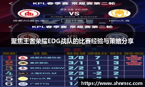 聚焦王者荣耀EDG战队的比赛经验与策略分享