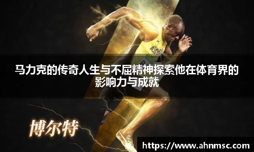 3亿体育官网